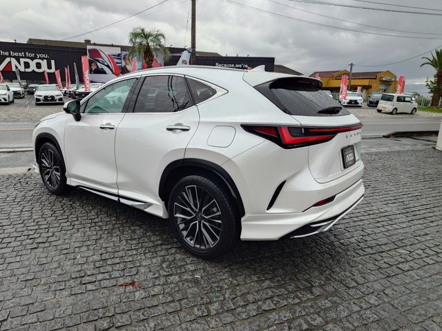 TOYOTA LEXUS NX250 2023 Image 31