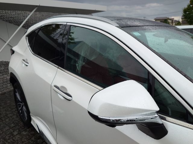 TOYOTA LEXUS NX250 2023 Image 31