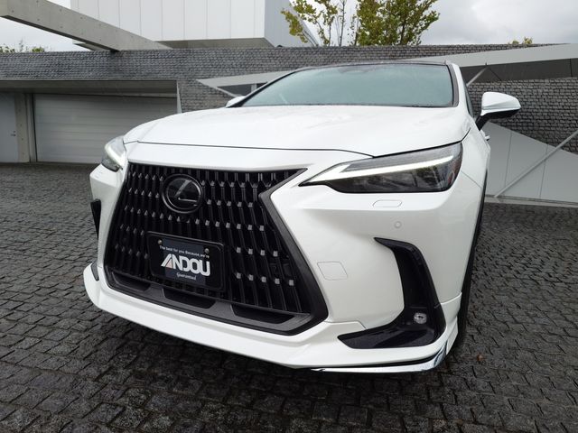 TOYOTA LEXUS NX250 2023 Image 31