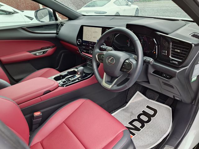TOYOTA LEXUS NX250 2023 Image 31