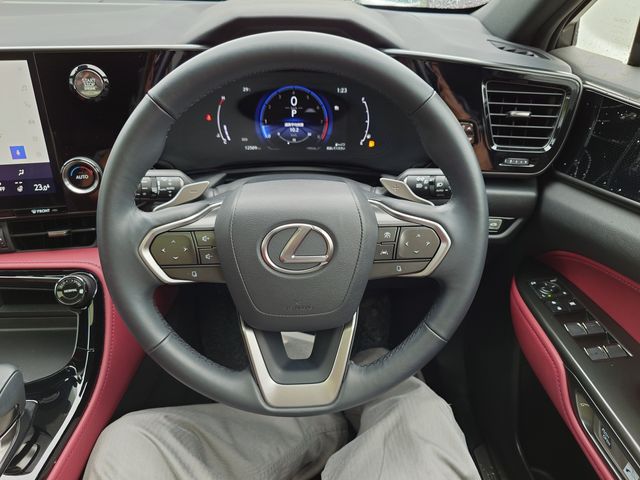 TOYOTA LEXUS NX250 2023 Image 31