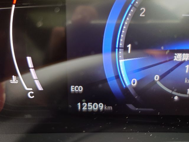 TOYOTA LEXUS NX250 2023 Image 31