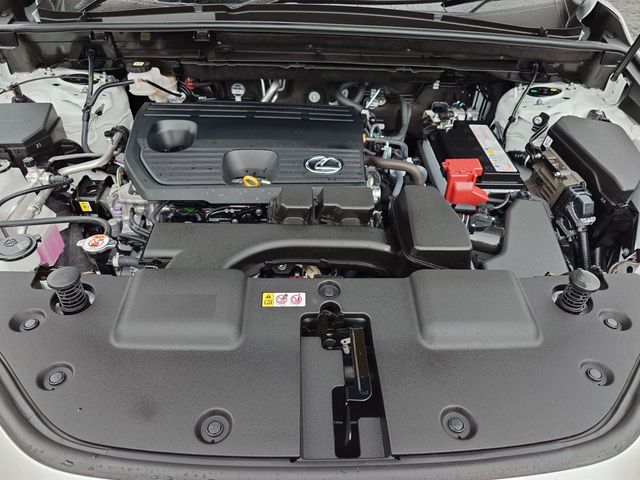 TOYOTA LEXUS NX250 2023 Image 31