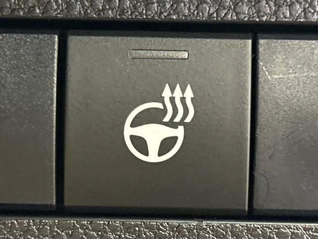 TOYOTA RAV4 4WD 2020 Image 31