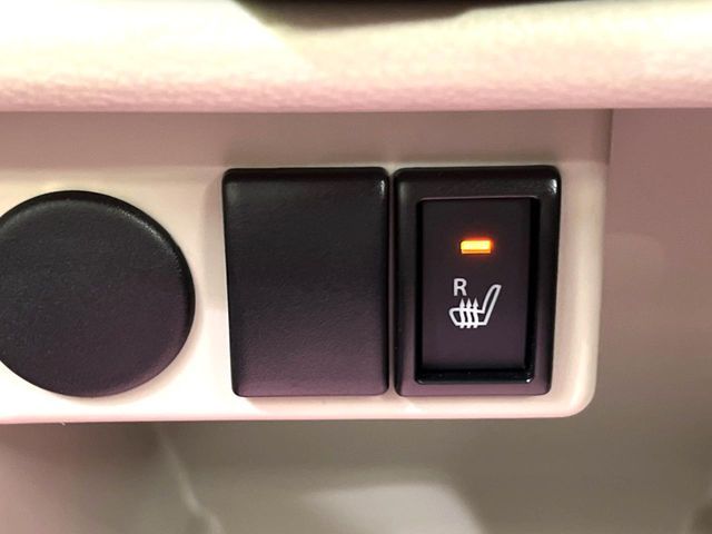 SUZUKI ALTO LAPIN 2020 Image 31