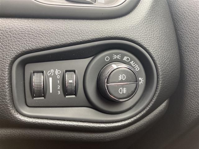 JEEP RENEGADE 2020 Image 31