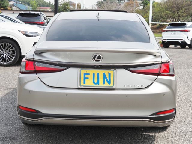 TOYOTA LEXUS ES300H 2022 Image 31