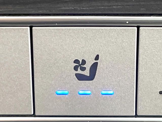 MERCEDES BENZ GLE CL 2020 Image 31