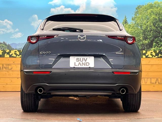 MAZDA CX-30 2020 Image 31