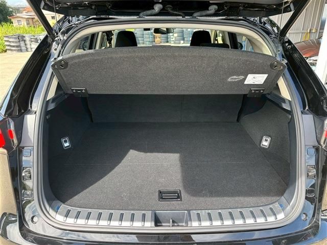 TOYOTA LEXUS NX300H 2020 Image 31