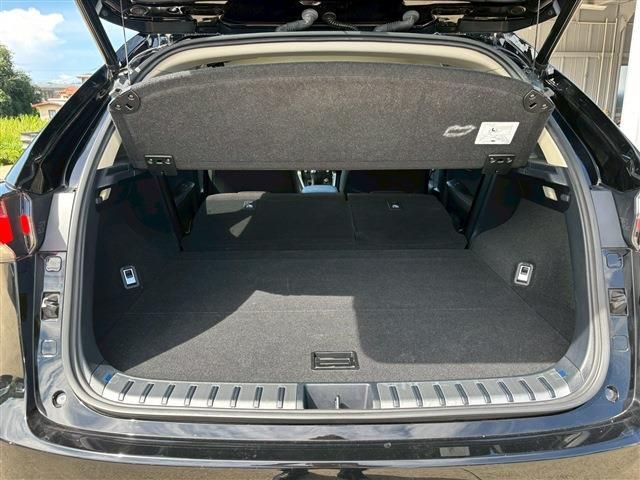 TOYOTA LEXUS NX300H 2020 Image 31