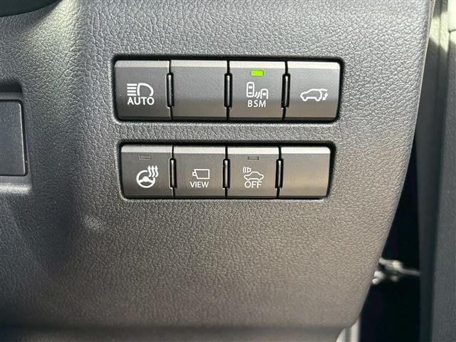 TOYOTA LEXUS NX300H 2020 Image 31