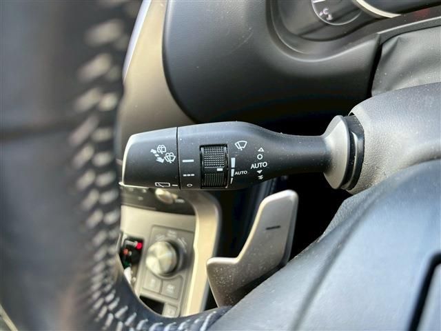 TOYOTA LEXUS NX300H 2020 Image 31