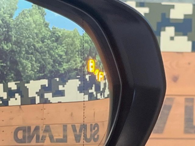 TOYOTA LEXUS RX450H 2WD 2019 Image 31