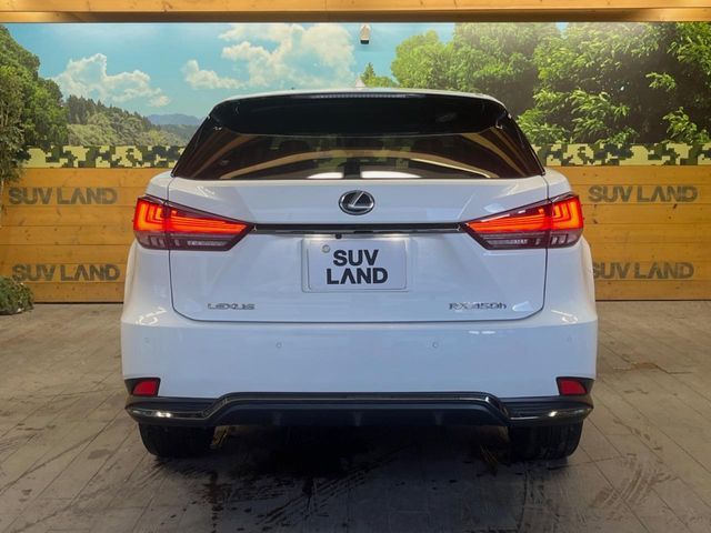 TOYOTA LEXUS RX450H 2WD 2019 Image 31