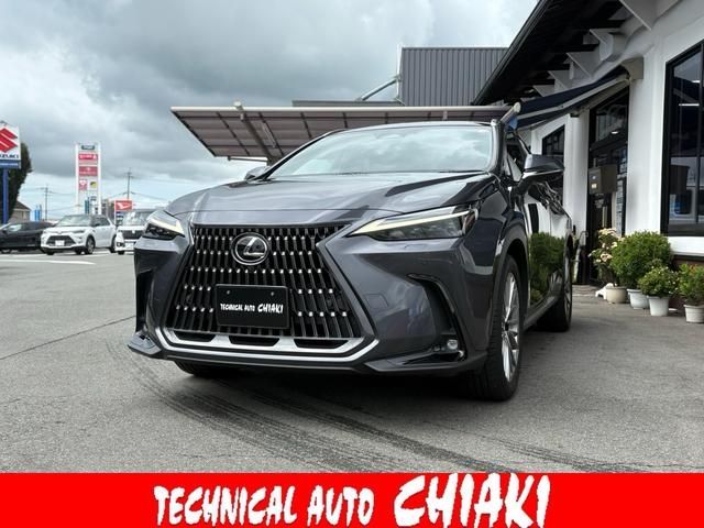 TOYOTA LEXUS NX250 2023 Image 31