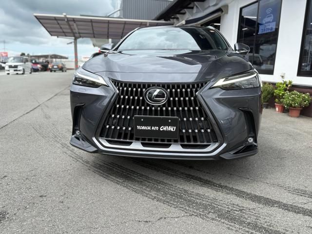 TOYOTA LEXUS NX250 2023 Image 31