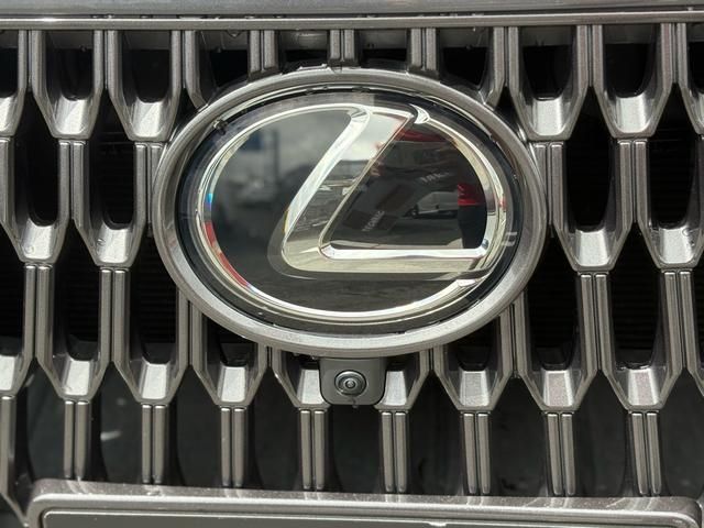 TOYOTA LEXUS NX250 2023 Image 31