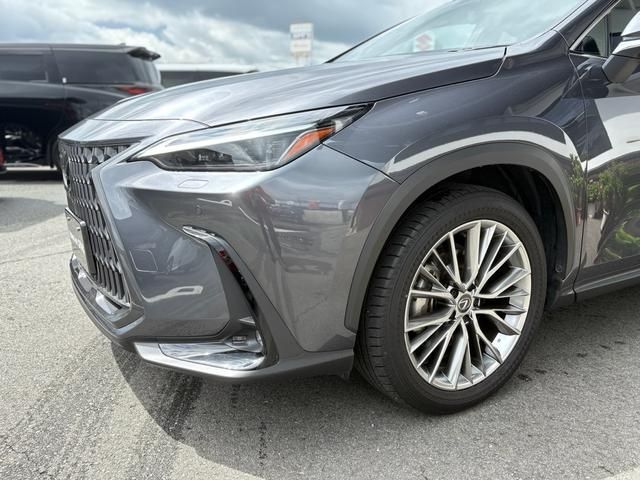 TOYOTA LEXUS NX250 2023 Image 31