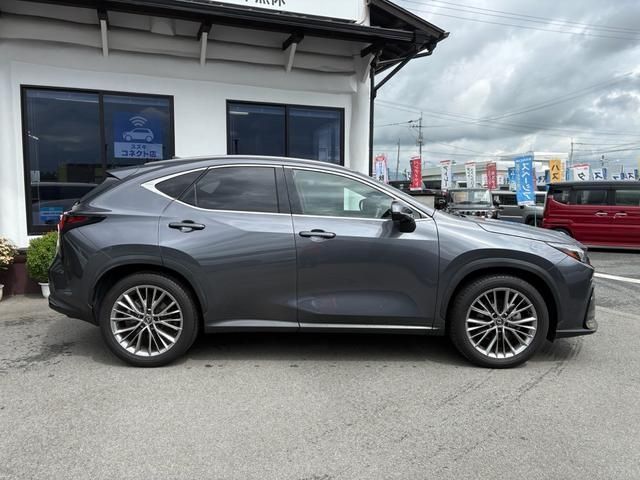 TOYOTA LEXUS NX250 2023 Image 31