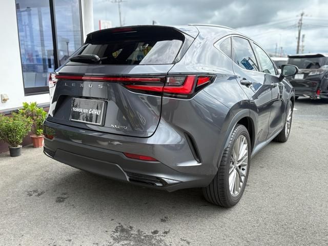 TOYOTA LEXUS NX250 2023 Image 31