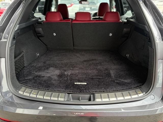 TOYOTA LEXUS NX250 2023 Image 31