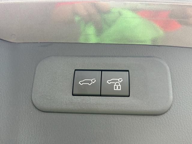 TOYOTA LEXUS NX250 2023 Image 31