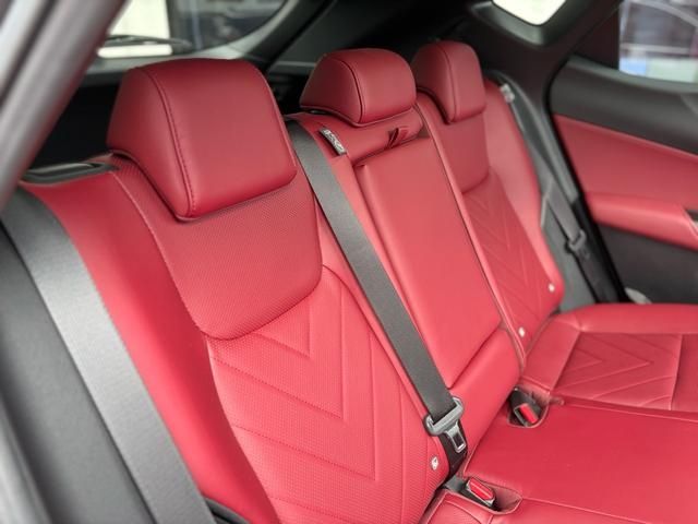 TOYOTA LEXUS NX250 2023 Image 31