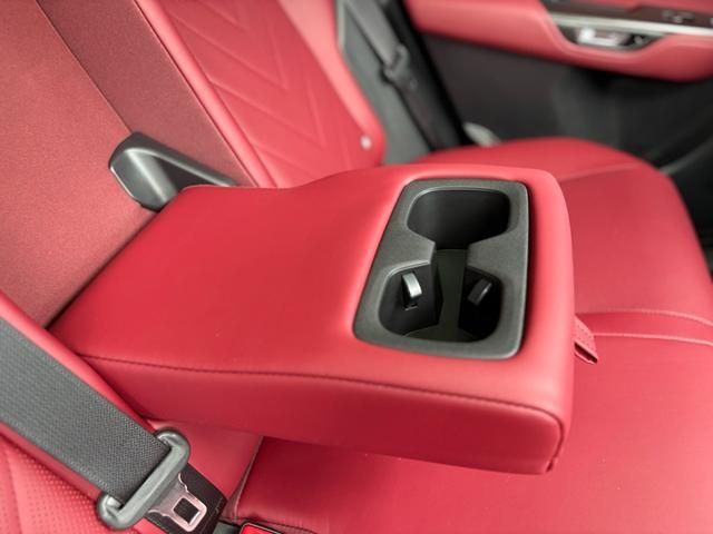 TOYOTA LEXUS NX250 2023 Image 31