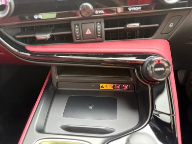 TOYOTA LEXUS NX250 2023 Image 31