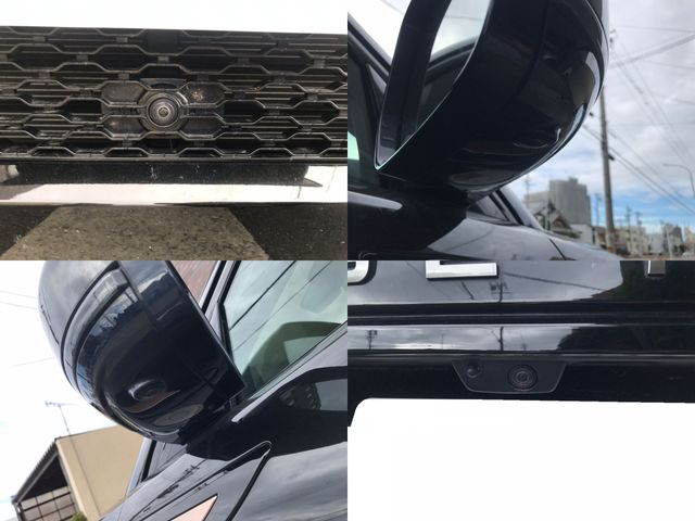 ROVER RANGE  EV 2020 Image 31