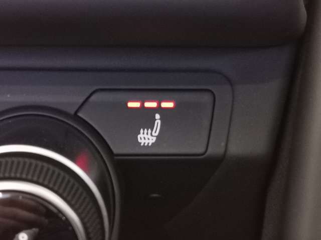 AUDI R8 SPYDER 2021 Image 31