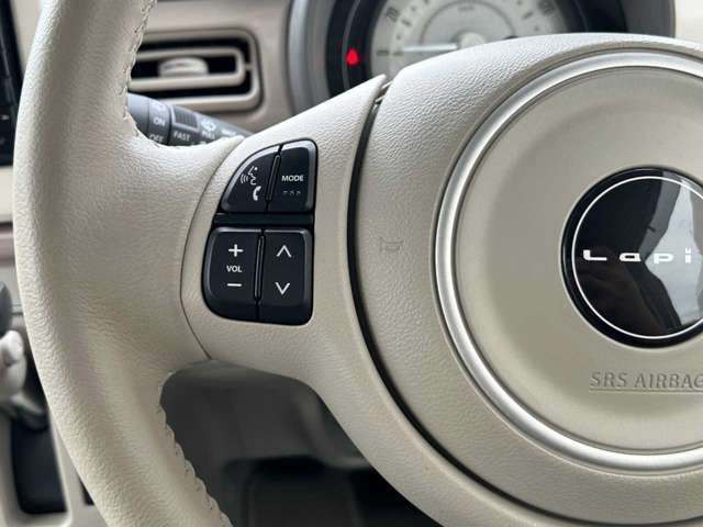 SUZUKI ALTO LAPIN 2022 Image 31