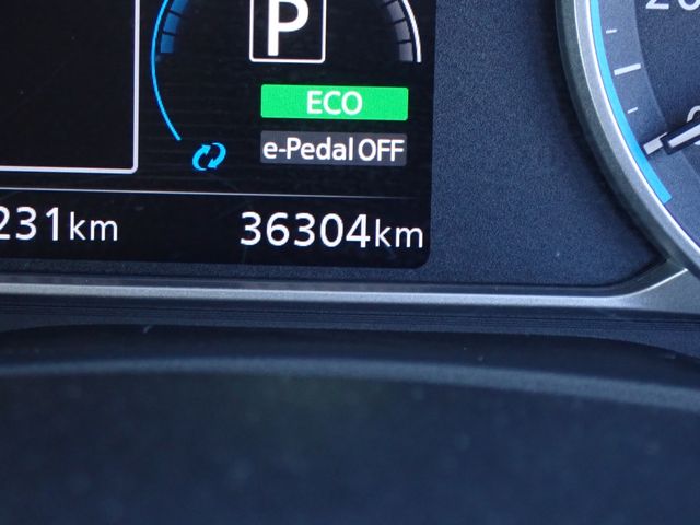 NISSAN LEAF 2019 Image 31