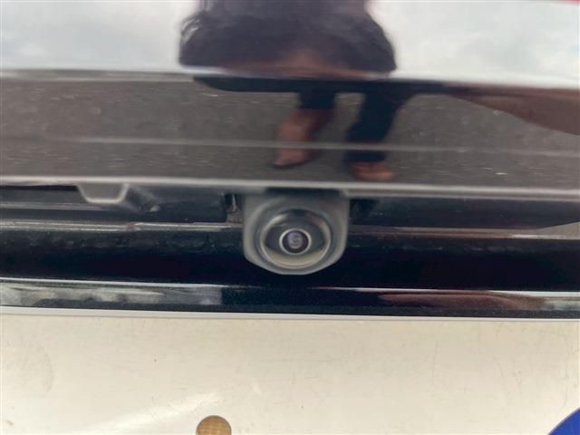 TOYOTA LEXUS RX500H 2023 Image 31