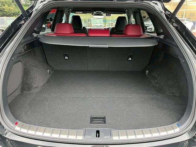 TOYOTA LEXUS RX500H 2023 Image 31