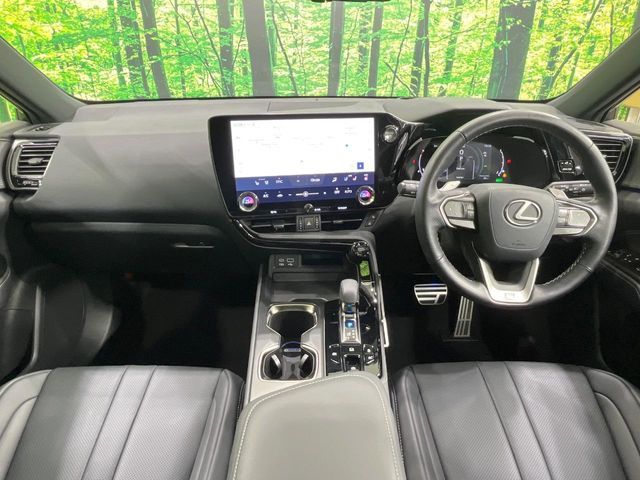 TOYOTA LEXUS NX350H AWD 2022 Image 31
