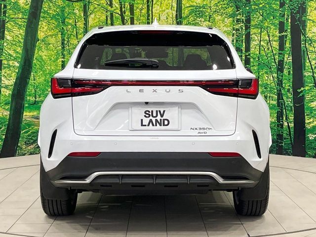 TOYOTA LEXUS NX350H AWD 2022 Image 31