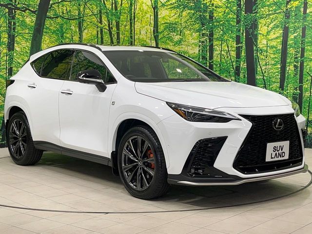 TOYOTA LEXUS NX350H AWD 2022 Image 31