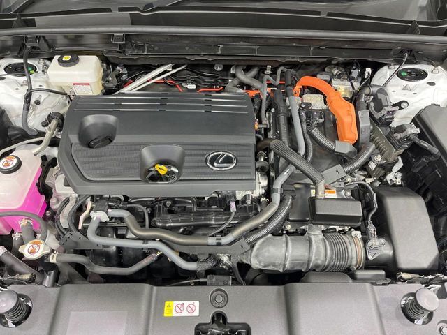 TOYOTA LEXUS NX350H AWD 2022 Image 31