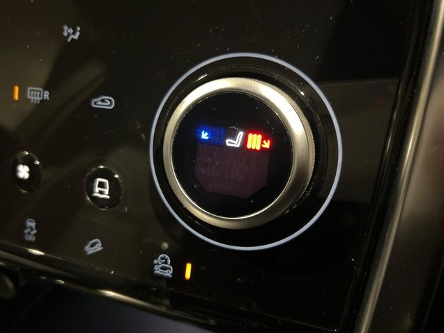 ROVER DISCOVERY SPOR 2020 Image 31