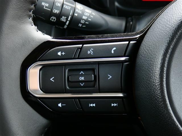 SUZUKI SPACIA GEAR 2024 Image 31