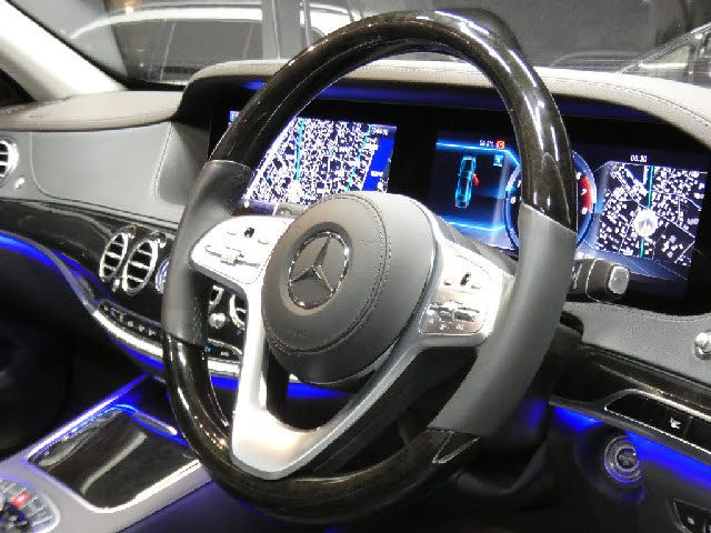 MERCEDES BENZ S CLAS 2019 Image 31