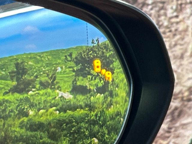 TOYOTA LEXUS NX300H 2018 Image 31