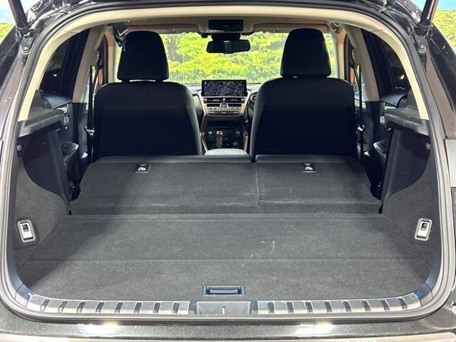 TOYOTA LEXUS NX300H 2018 Image 31