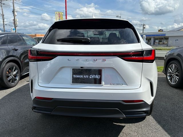 TOYOTA LEXUS NX250 2023 Image 31