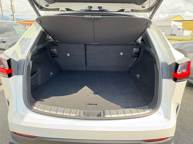 TOYOTA LEXUS NX250 2023 Image 31