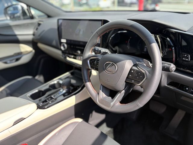 TOYOTA LEXUS NX250 2023 Image 31