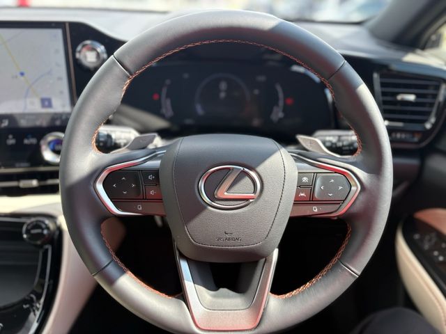 TOYOTA LEXUS NX250 2023 Image 31