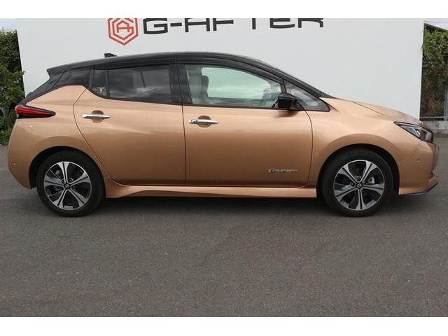 NISSAN LEAF 2021 Image 31